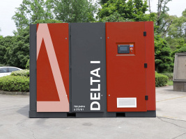 �������� ���������� TRIUMPH DELTA 175 I SE