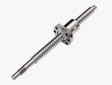 -    Z (+)  Beaver NEST