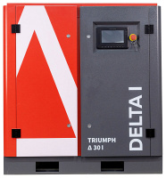 �������� ���������� TRIUMPH DELTA 250 I